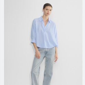 Aritzia Persona Blue Stripped Shirt (US S)